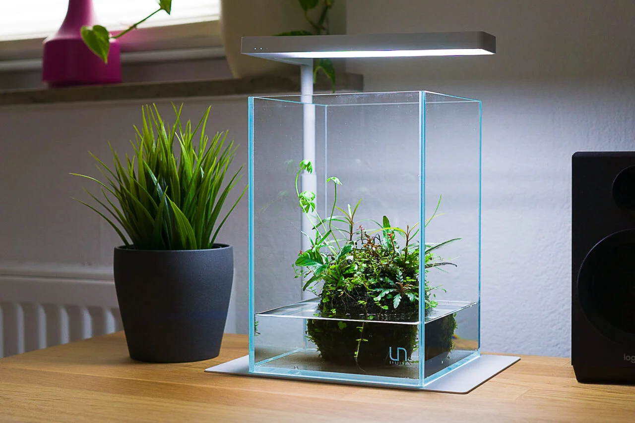 Wabi-Kusa - Japanische Kunst im Glasgef | Aquabasedesign