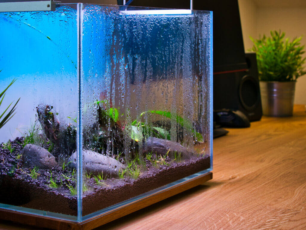 Seitenansicht des Mini M Aquariums im Drystart