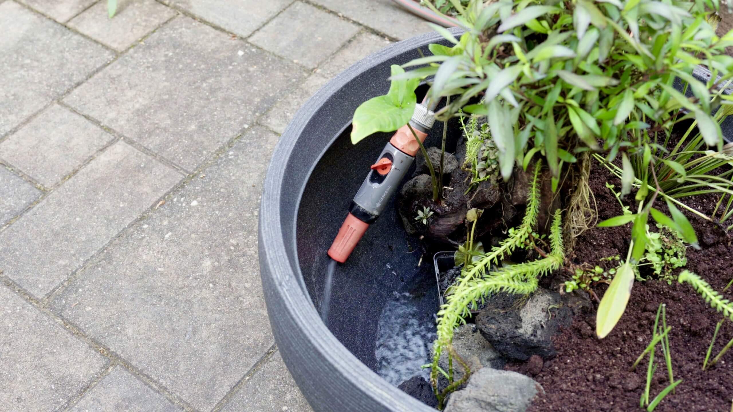 Befüllen des Miniteichs mit Wasser