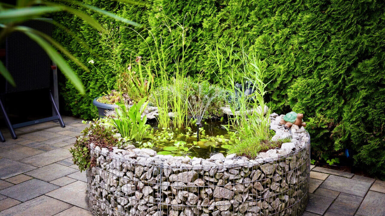 Miniteich auf der Terrasse in rundem Gabionen-Becken mit dichter Bepflanzung und Wasserpflanzen