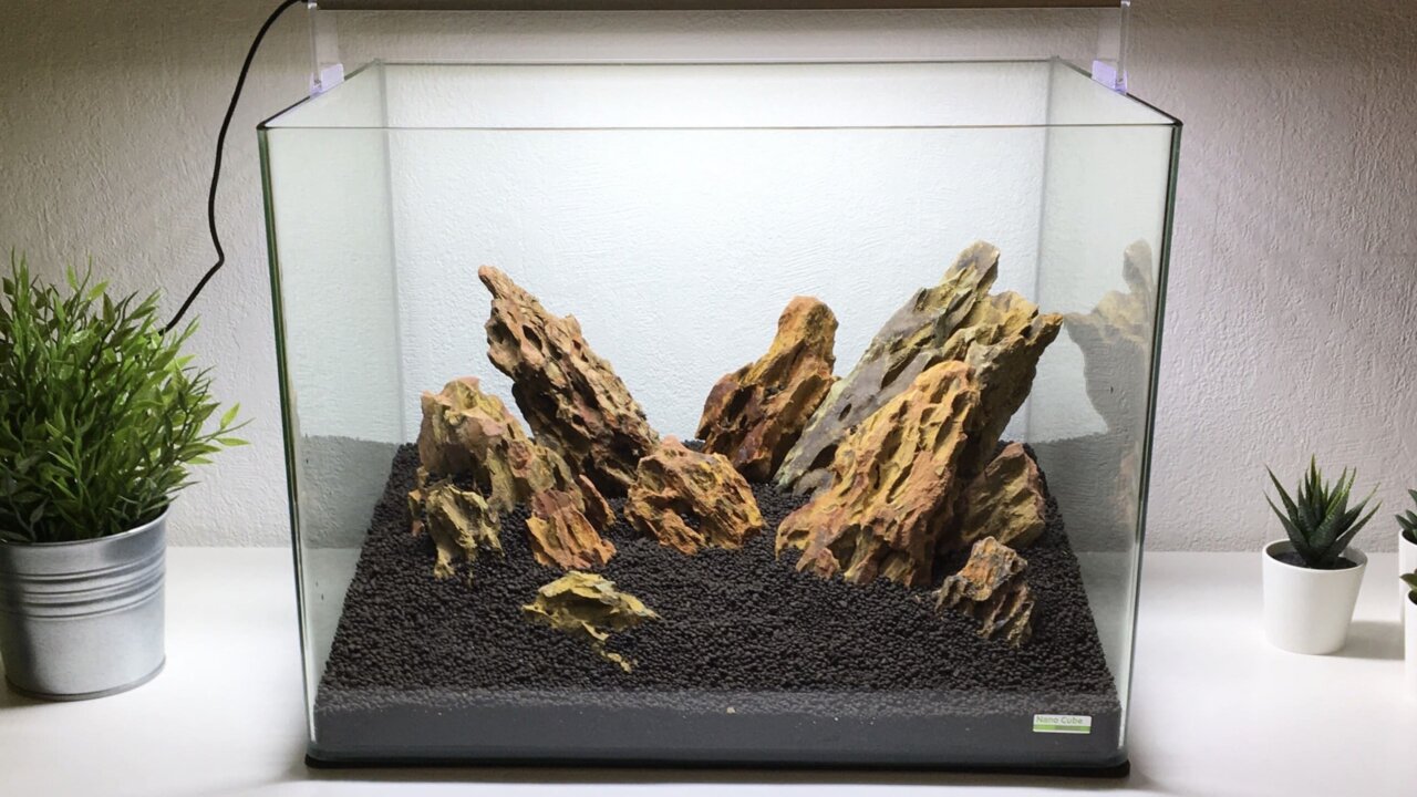 Hardscape im Aquarium – Vergleich Floatglas vs. Weißglas Aquarium
