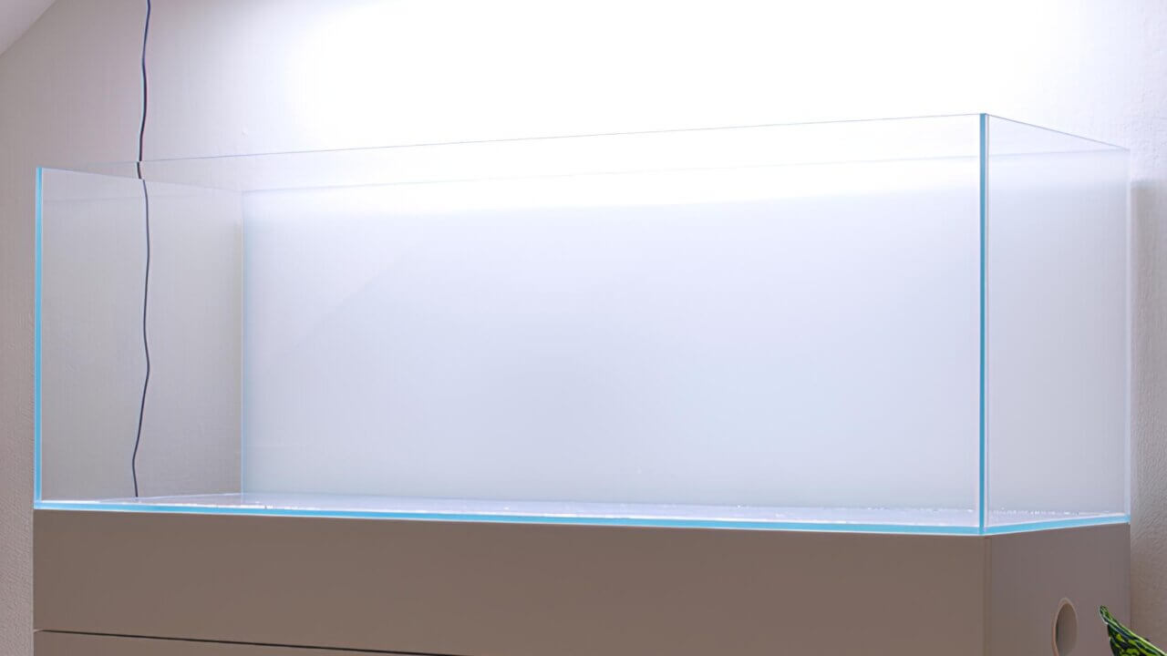 Floatglas vs. Weißglas Aquarium – Beispiel eines Weißglasbeckens mit klarer Frontscheibe