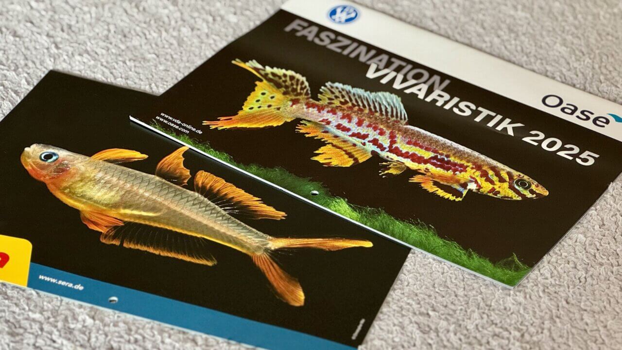 Aquarienkalender von Sera und Oase – kreative Geschenkidee für Aquarianer und Fischliebhaber.