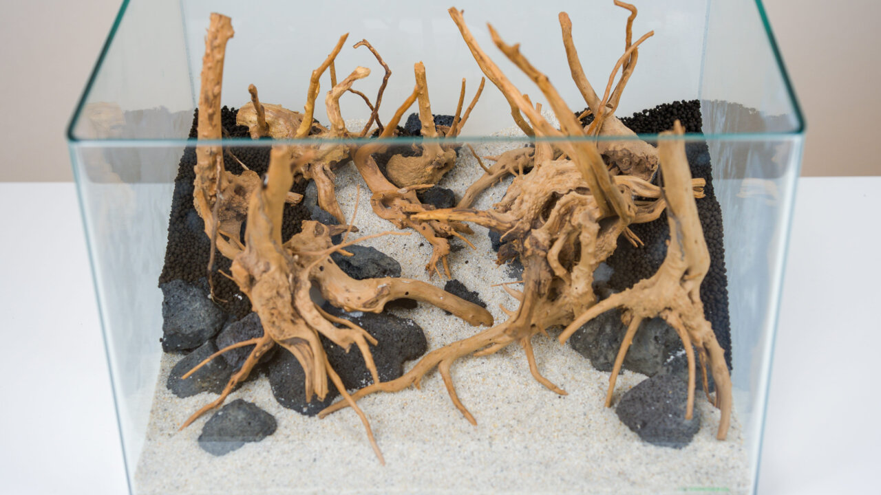 Dennerle Aquascape mit dekorativen Wurzeln, schwarzen Lavasteinen, einem Sandbereich im Vordergrund und einem Sandweg in der Mitte.