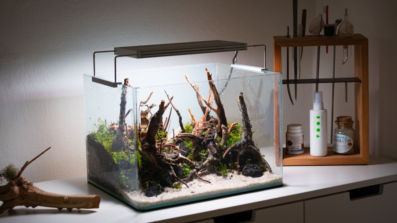 Nano-Aquascape mit Hardscape aus Wurzeln und Lavasteinen auf einer Kommode.