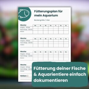 Fütterungsplan Fische PDF zum Ausdrucken – Wochenplan für Fischfütterung im Aquarium