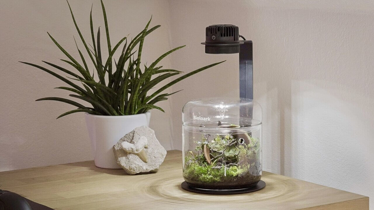 Kleines Wabi-Kusa im Glas auf einem Schreibtisch – stilvolle DIY-Dekoration für Aquascaper und Pflanzenfreunde.