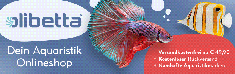 Olibetta Aquaristik Angebote – Versandkostenfrei ab 49,90 €, kostenloser Rückversand