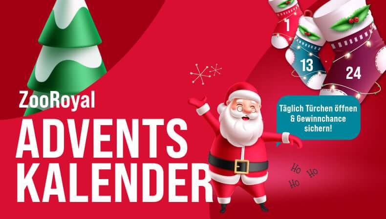 ZooRoyal Adventskalender – tägliche Aquaristik-Angebote und Rabattaktionen