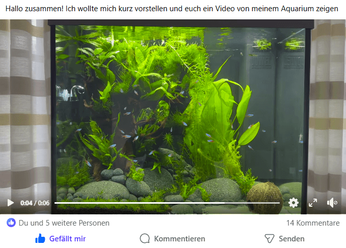 Aktive Beiträge von Mitgliedern in einer Aquaristik Community