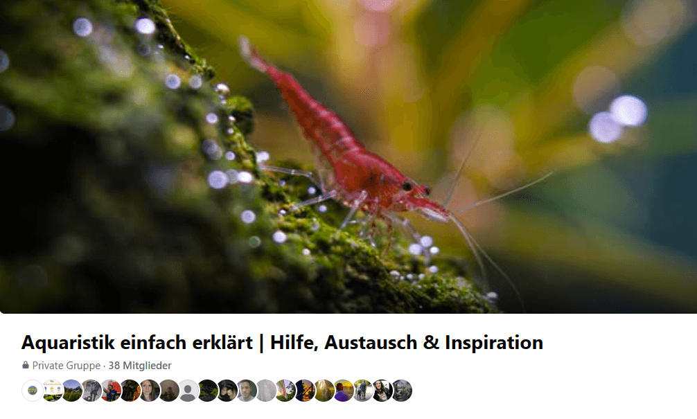 Aquaristik Facebook Community für Austausch, Hilfe und Inspiration