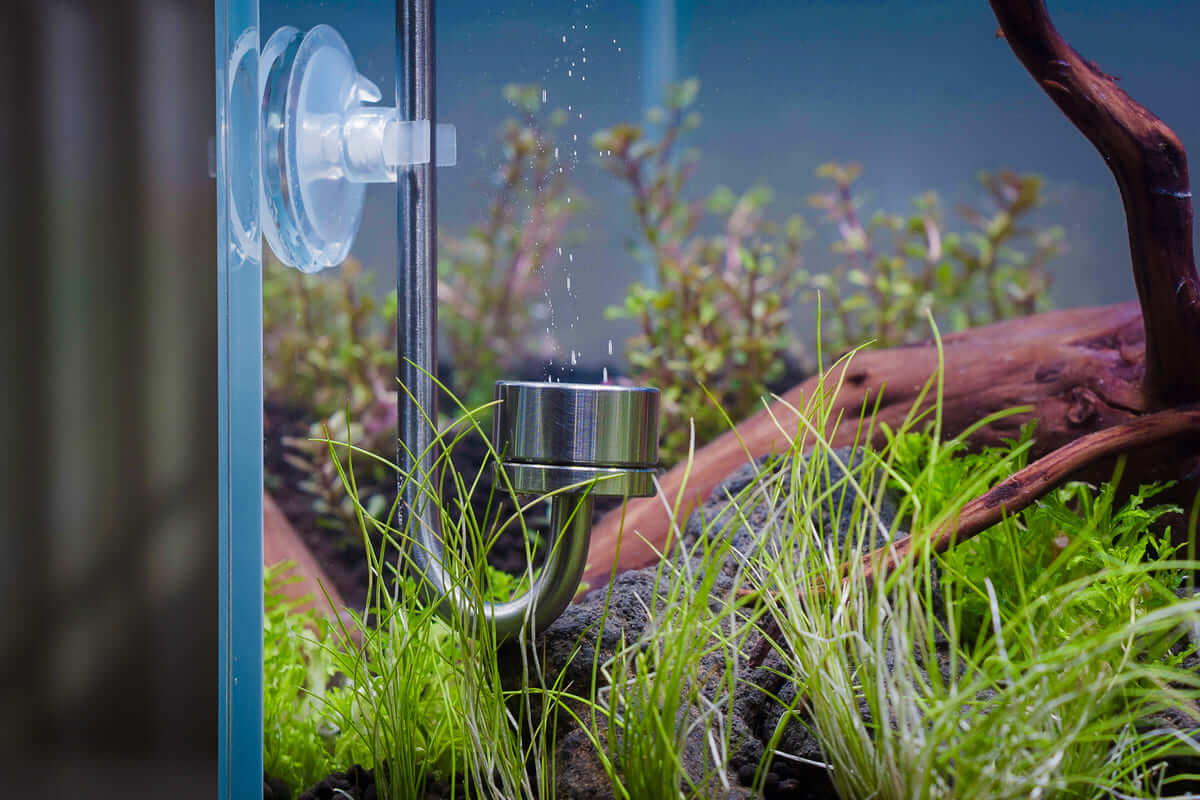 Edelstahl CO₂-Diffusor im bepflanzten Aquarium