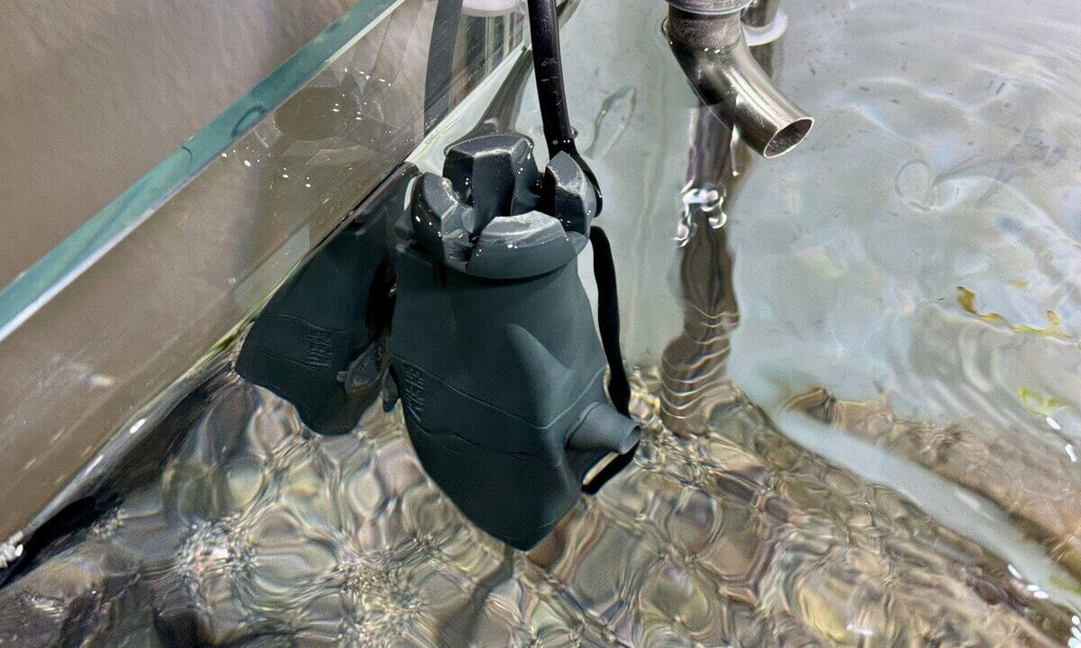 Eheim Skimmer entfernt Kahmhaut von der Wasseroberfläche im Aquarium