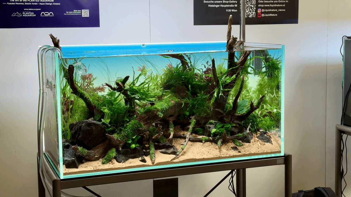 Glas Filtereinlass und Filterauslass im Naturaquarium