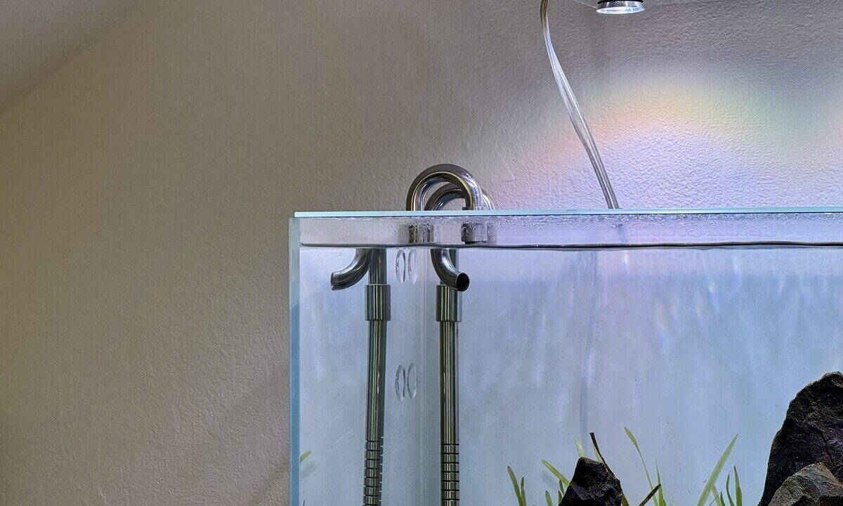 Edelstahl Filtereinlass und Filterauslass im Aquarium