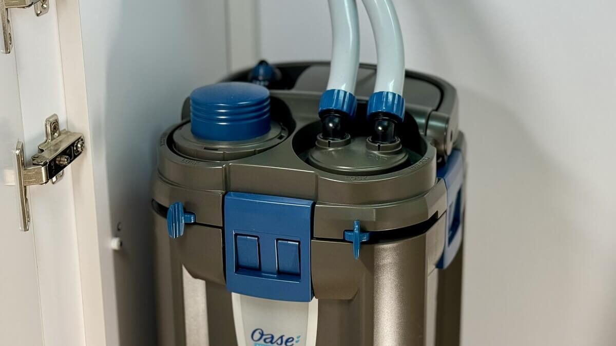 Außenfilter im Aquarium-Unterschrank – Oase Biomaster