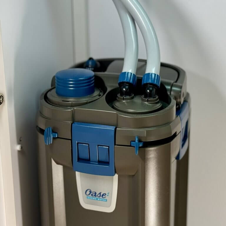 Außenfilter im Aquarium-Unterschrank – Oase Biomaster