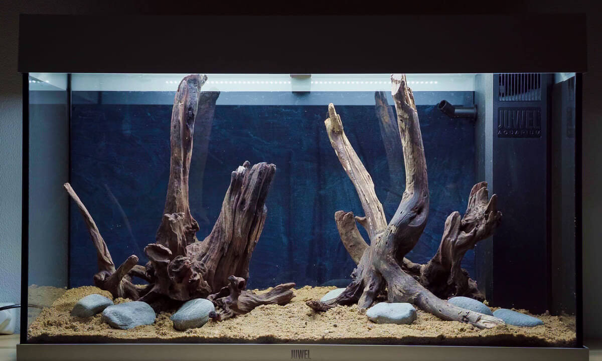 Fertig eingerichtetes Aquarium mit Wurzeln und Steinen im Juwel Rio 125