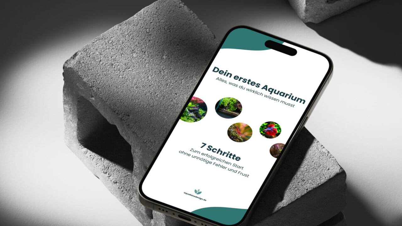 Mockup des Aquarium Einsteiger Guides auf einem Smartphone mit Schritt-für-Schritt Anleitung für Anfänger