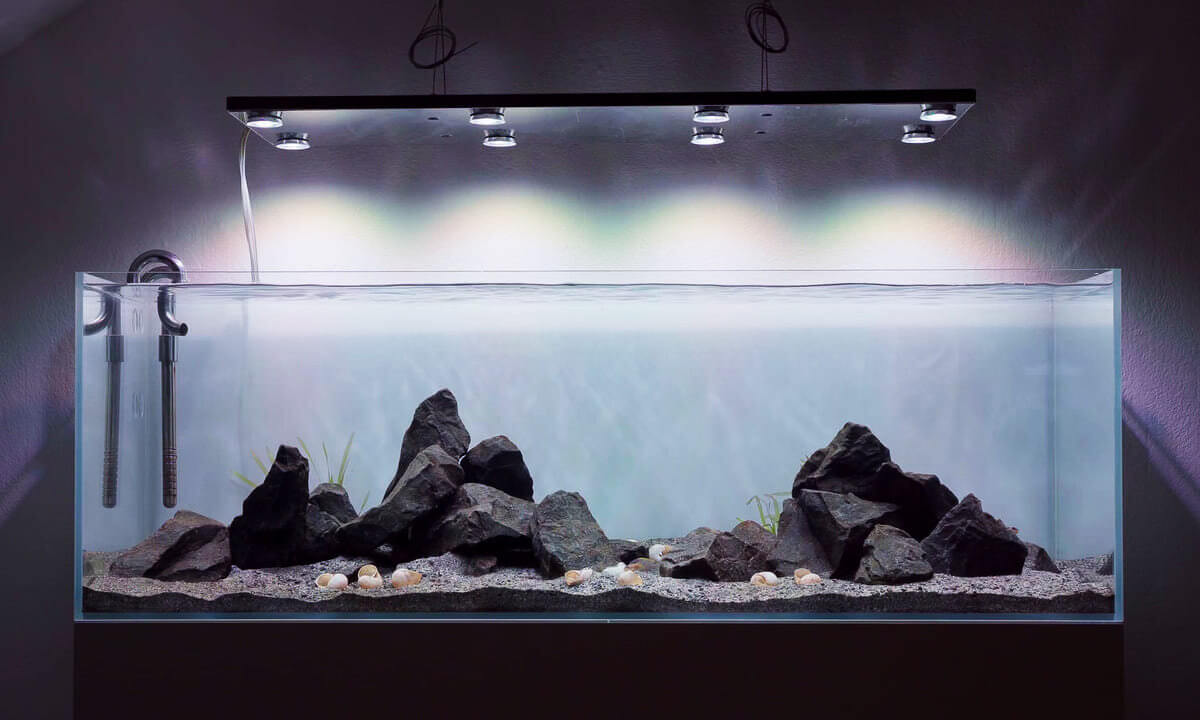 Aquarium mit Skylight Hyperspot LED Beleuchtung über Hardscape mit Steinen