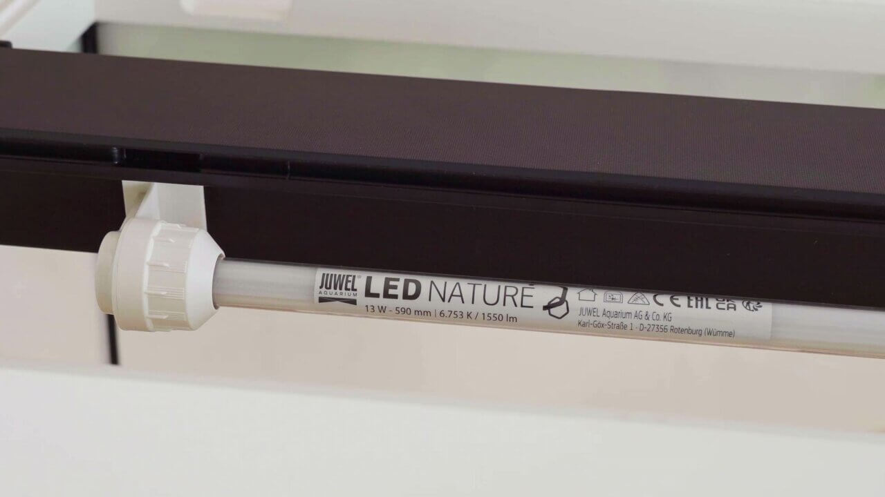 Juwel MultiLux LED Nature Beleuchtung im Rio 125 Aquarium