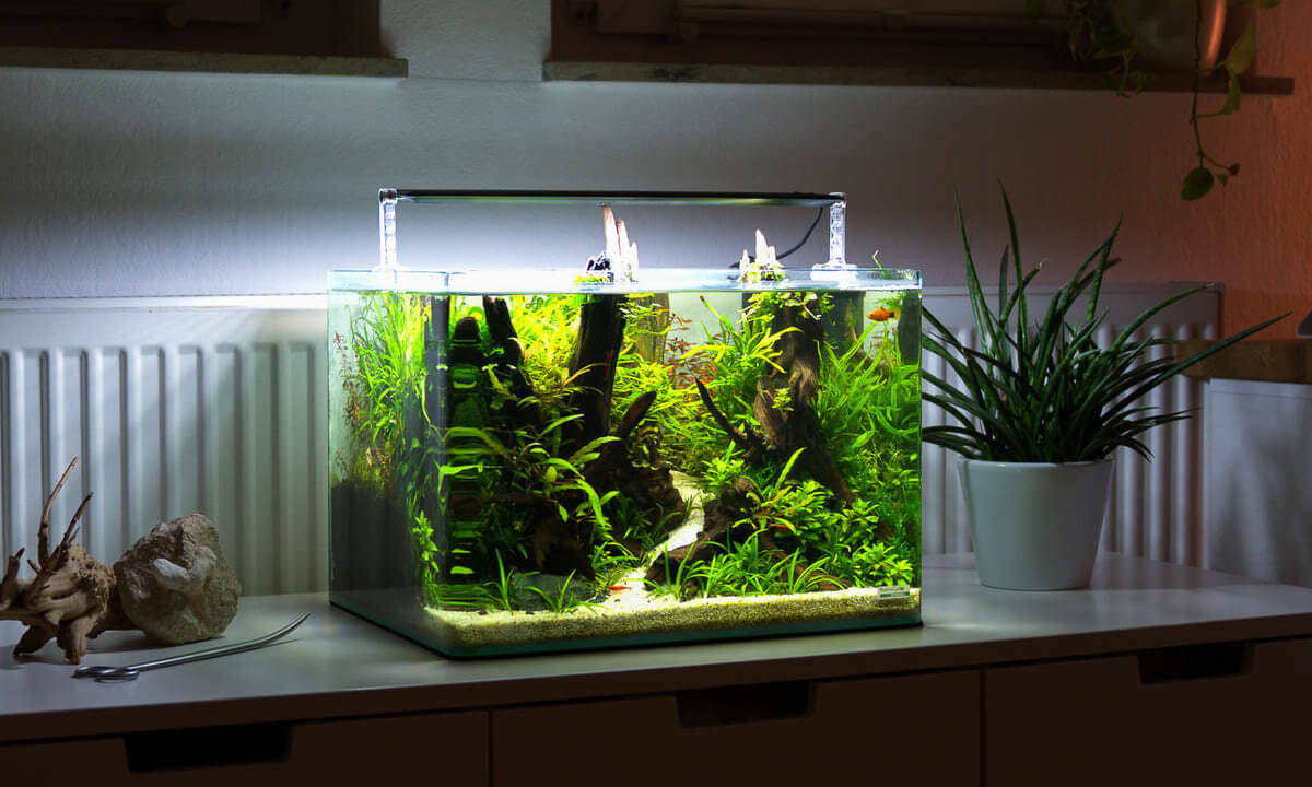 Nano Aquarium mit Chihiros A-Serie LED Beleuchtung auf Schrank