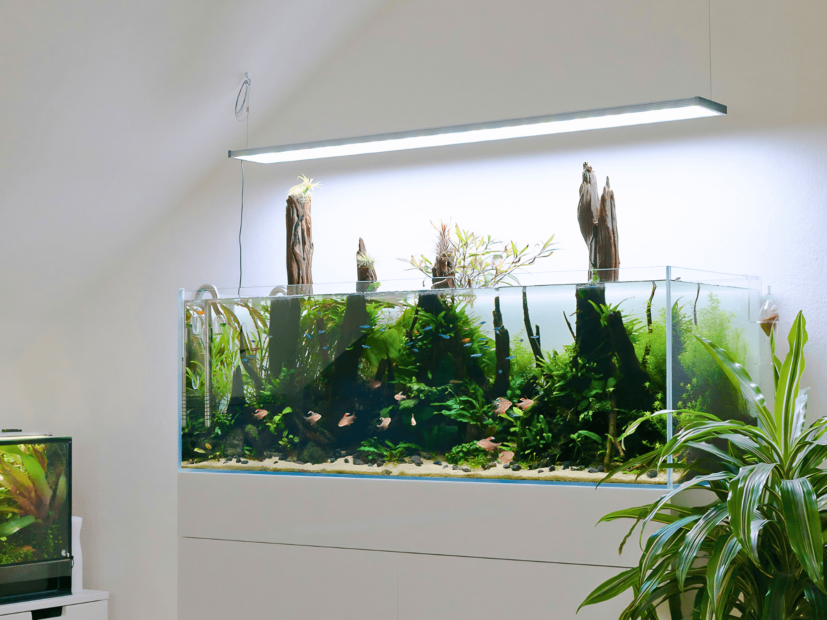 120P Naturaquarium mit bepflanzten Wurzeln und emersen Tillandsien
