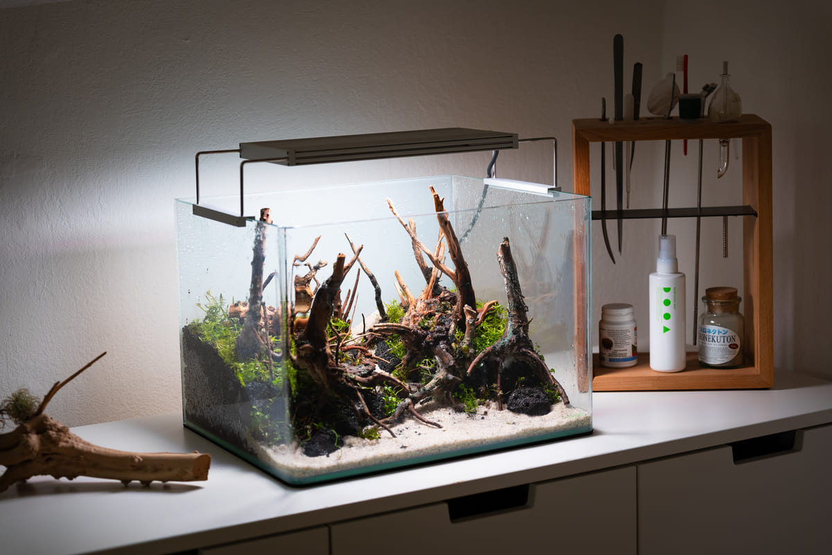 Frisch eingerichtetes 35 Liter Dennerle Aquarium im Waldstil mit Moorwurzeln, Lava, Sand und Aquarienpflanzen
