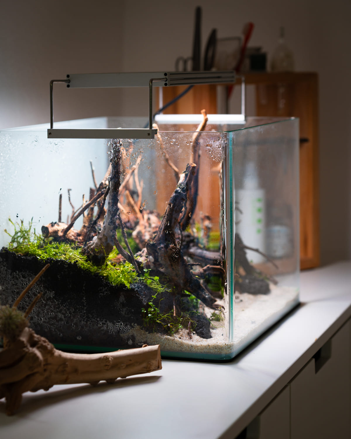 Seitenansicht eines frisch eingerichteten 35 Liter Dennerle Aquariums im Waldstil mit Moorwurzeln, schwarzer Lava, Sand und Aquarienpflanzen
