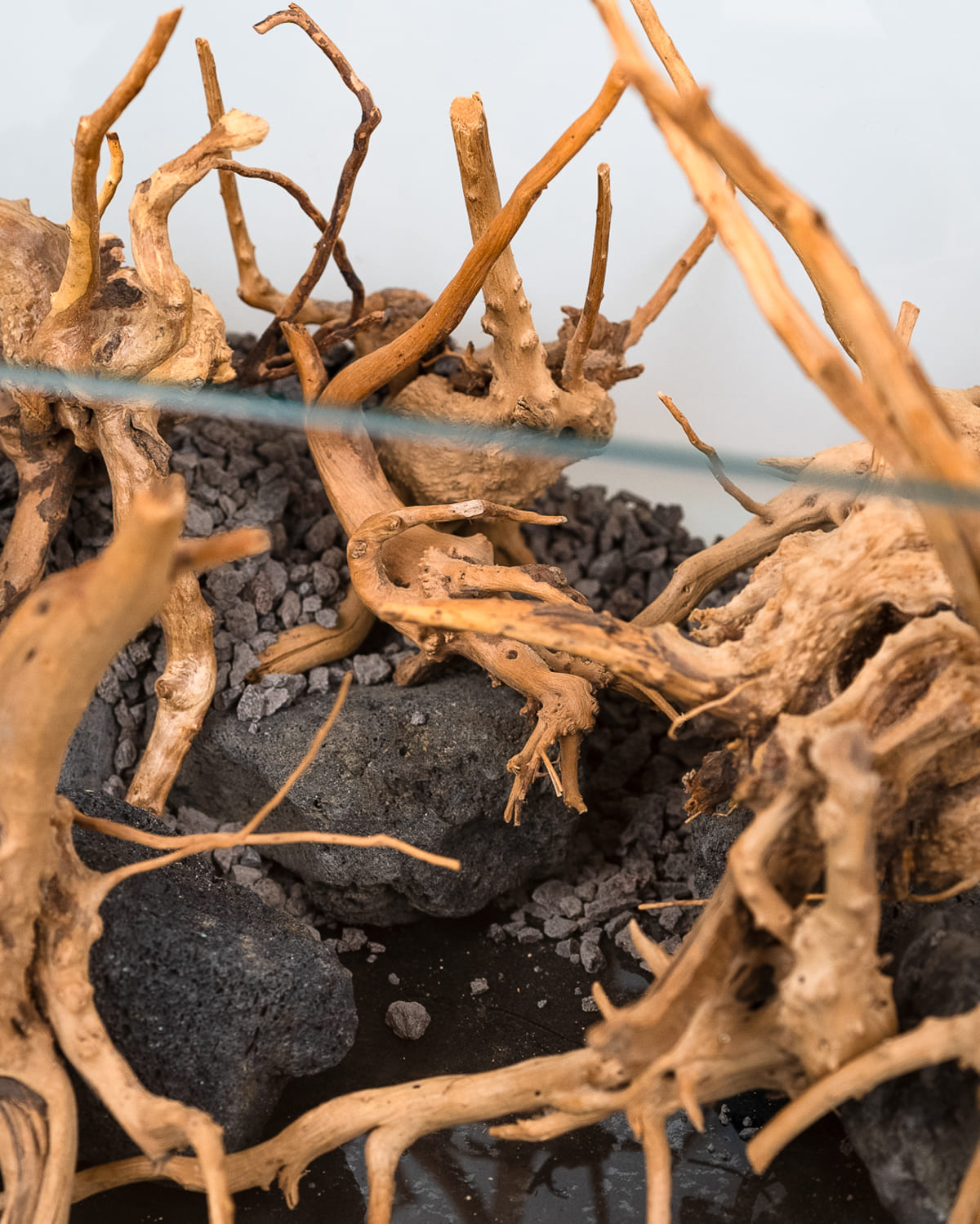 Hardscape eines 35 Liter Nano-Aquascapes mit Moorwurzeln, schwarzer Lava und Soil