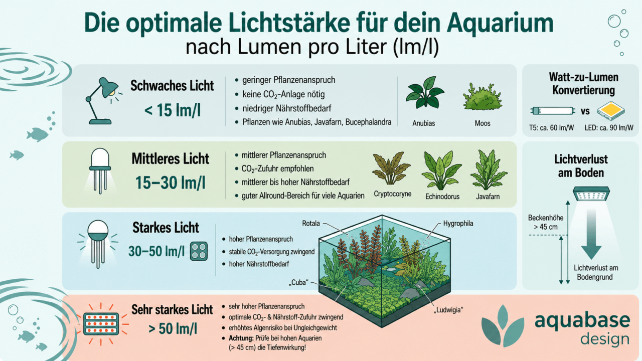 Infografik zur Einteilung der Aquarium-Lichtstärke in schwaches, mittleres und starkes Licht nach Lumen pro Liter