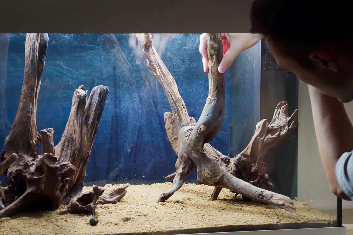 Aquarium Hardscape Gestaltung bei AquabaseDesign in Göppingen