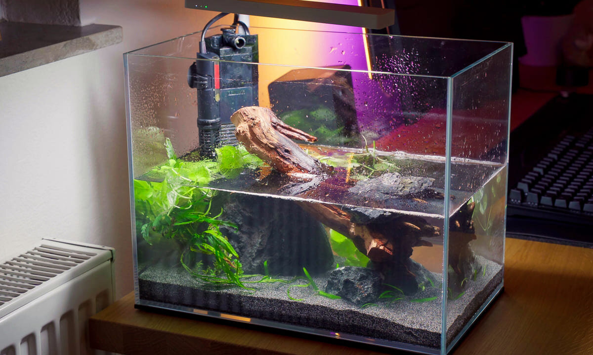 Kleines Nano-Aquarium auf dem Schreibtisch in der Nähe einer Heizung