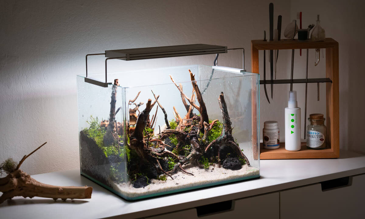 Aquascaping Aquarium mit Werkzeugen und praktischem Tool-Stand im Hintergrund