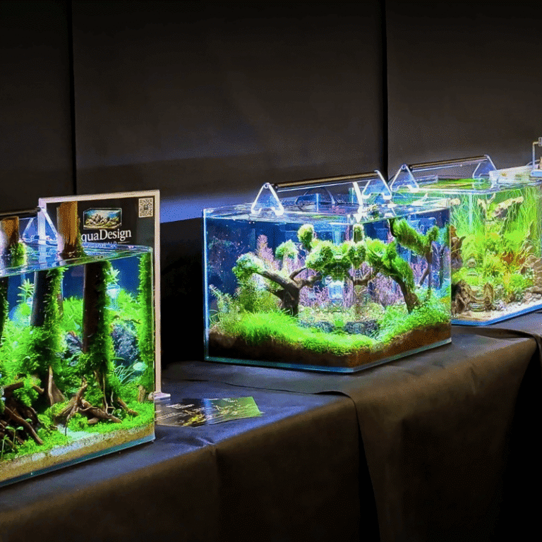 Nano-Aquascapes beim ENAC - einem Aquascaping-Wettbewerb auf der Aqua Expo XXL in Hamm