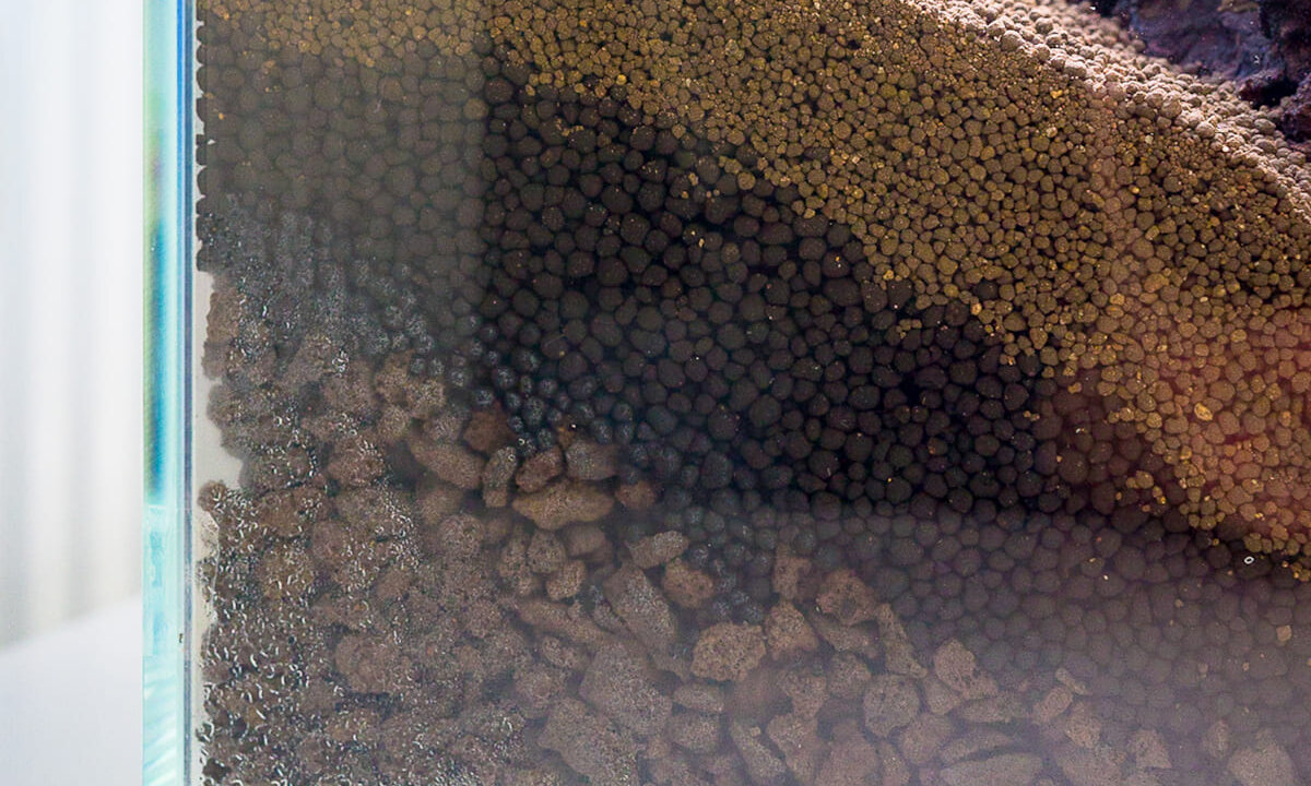 Aufbau des Bodengrunds mit Lavagranulat und Soil in einem Mini M Aquarium