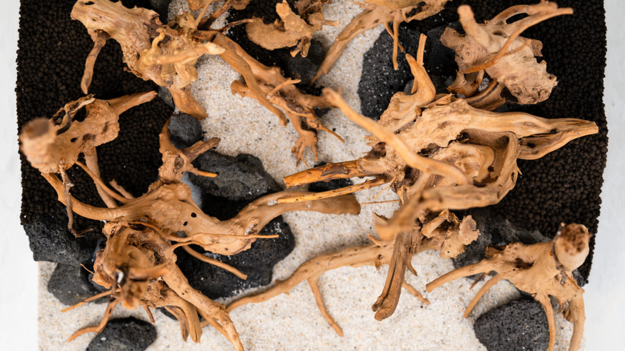 Draufsicht auf ein Dennerle 35 Liter Aquarium mit Moorwurzeln, schwarzer Lava, Soil und heller Sandfläche