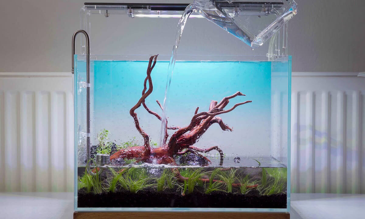Fischfangbecher beim Wasserwechsel und Befüllen eines Aquariums