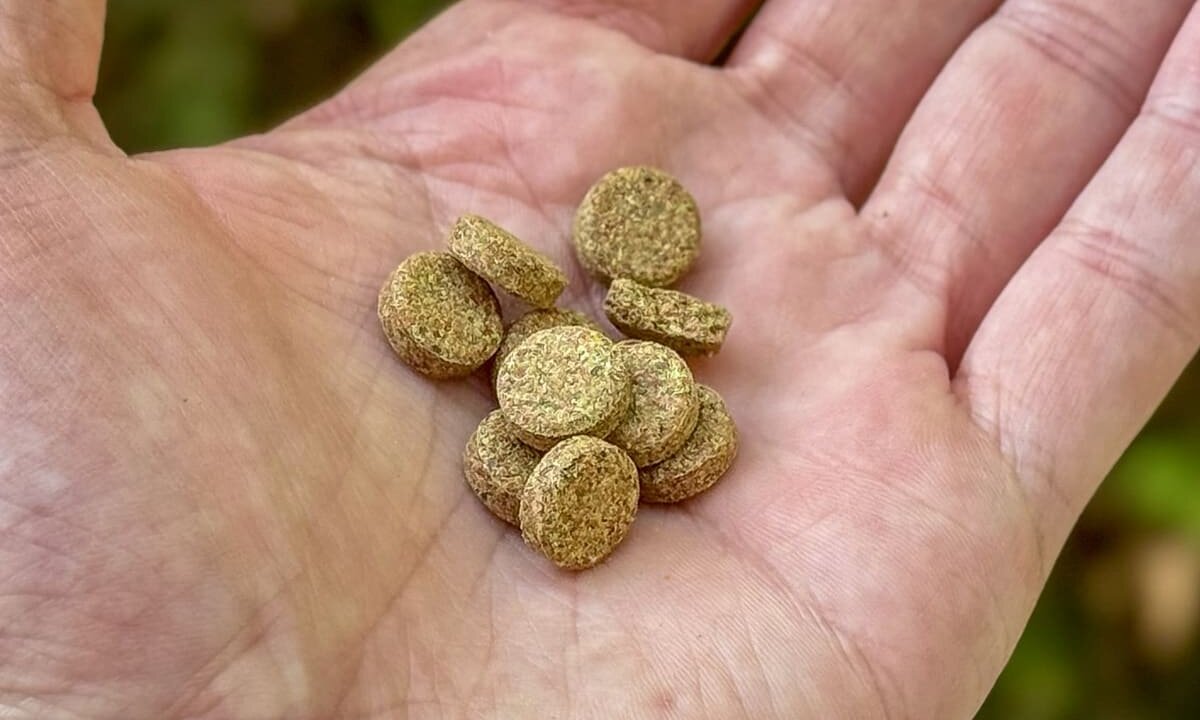 Futtertabletten für Aquarienfische und Bodenbewohner