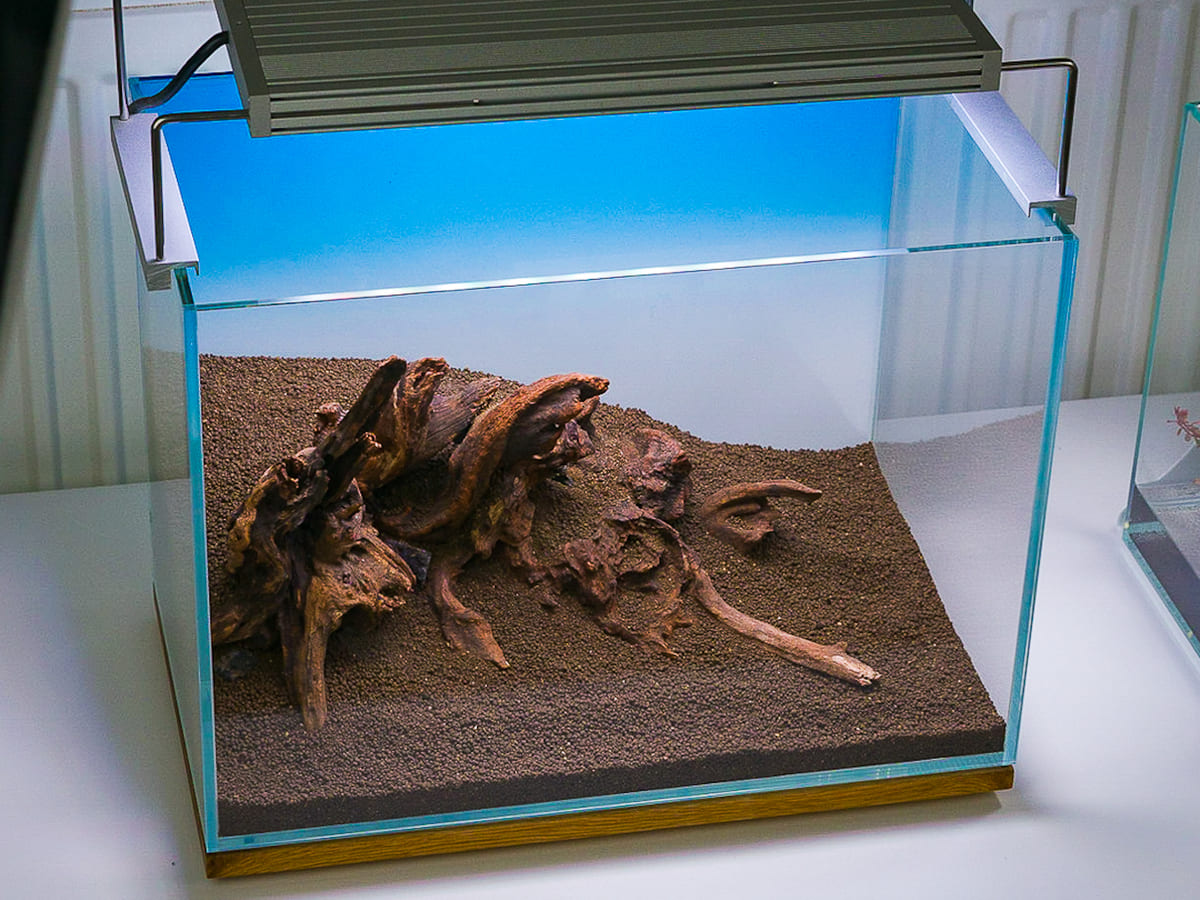 Hardscape-Aufbau eines Mini M Aquascapes mit Wurzeln und Soil vor der Bepflanzung