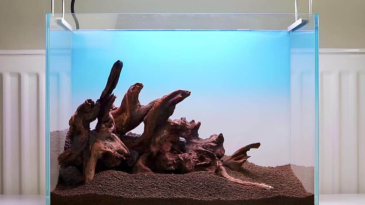 Nano Aquascaping Layout mit Wurzelholz und dunklen Lavasteinen auf braunem Soil vor einem hellblau beleuchteten Hintergrund.