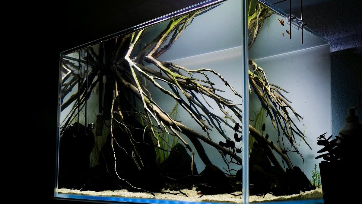 Aquarium mit Talawa Wood, dunklen Lavasteinen, heller Sandfläche und natürlicher Schattenwirkung