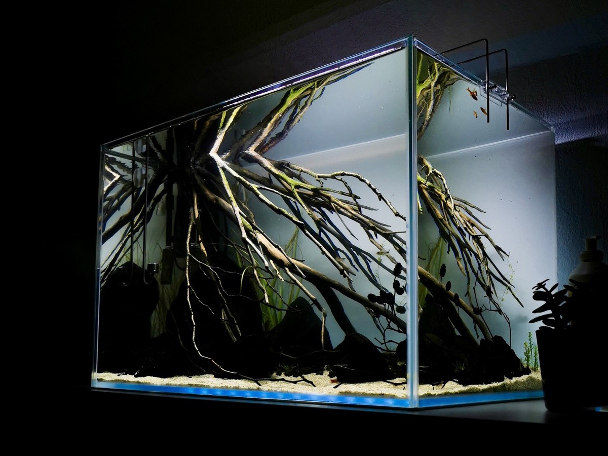 Aquarium mit Talawa Wood, dunklen Lavasteinen, heller Sandfläche und natürlicher Schattenwirkung