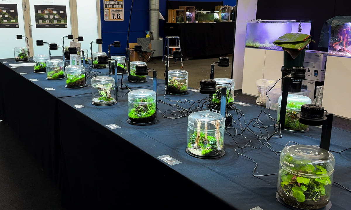 Wabi-Kusa Wettbewerb auf der Aqua Expo XXL
