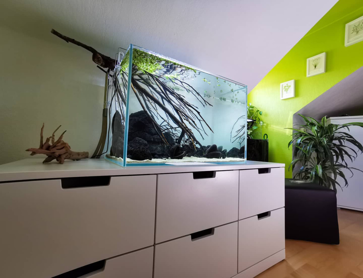 Natürliches Aquarium mit Talawa Wood, Lavasteinen und heller Sandfläche auf einem weißen Sideboard