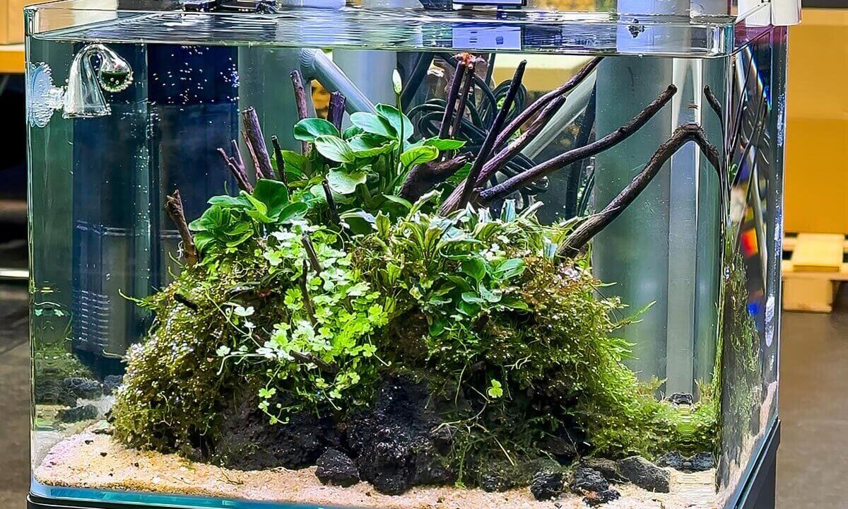 Me My Tank 55 Aquarium mit Aquascaping-Einrichtung