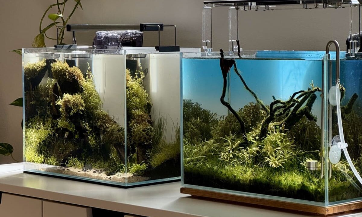 Zwei kleine Nano-Aquarien nebeneinander mit Pflanzen und Technik