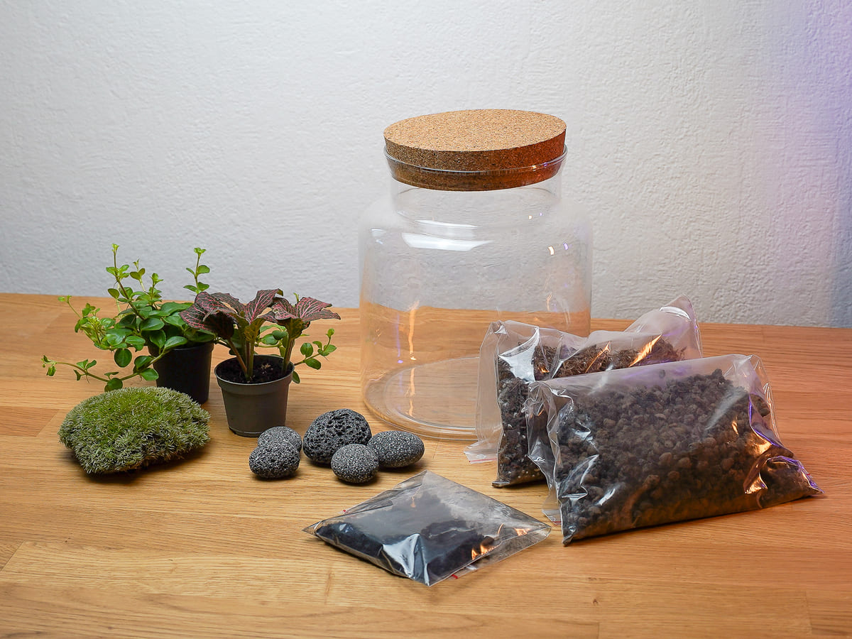 Inhalt des Flaschengarten-Kits mit Glasgefäß, Pflanzen, Lava Pebbles, Aktivkohle und Substrat
