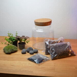 Terrarium-Kit zum Selbermachen mit Glasgefäß, Pflanzen, Bollenmoos, Lavasteinen und Substraten