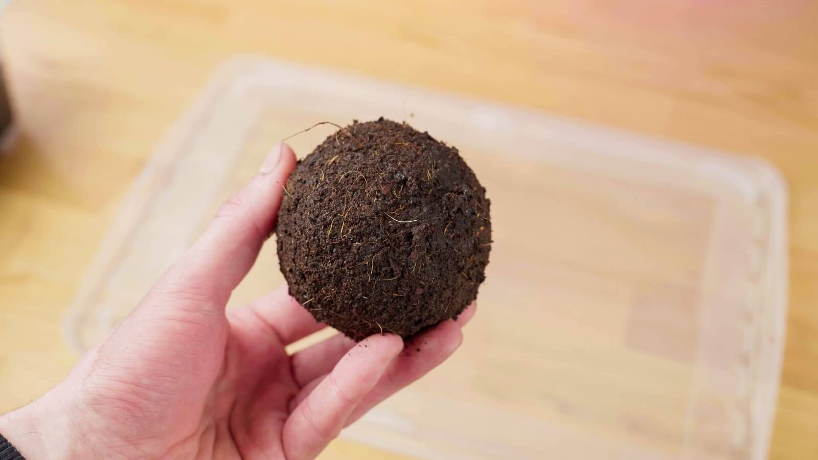Wabi-Kusa-Substratkugel aus Kokoshumus und Aquariensoil vor dem Bepflanzen